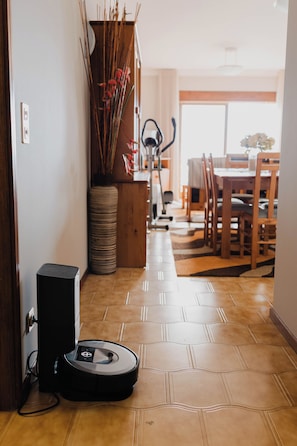 Une pièce comprenant un coin repas, un aspirateur et un grand vase avec des plantes.