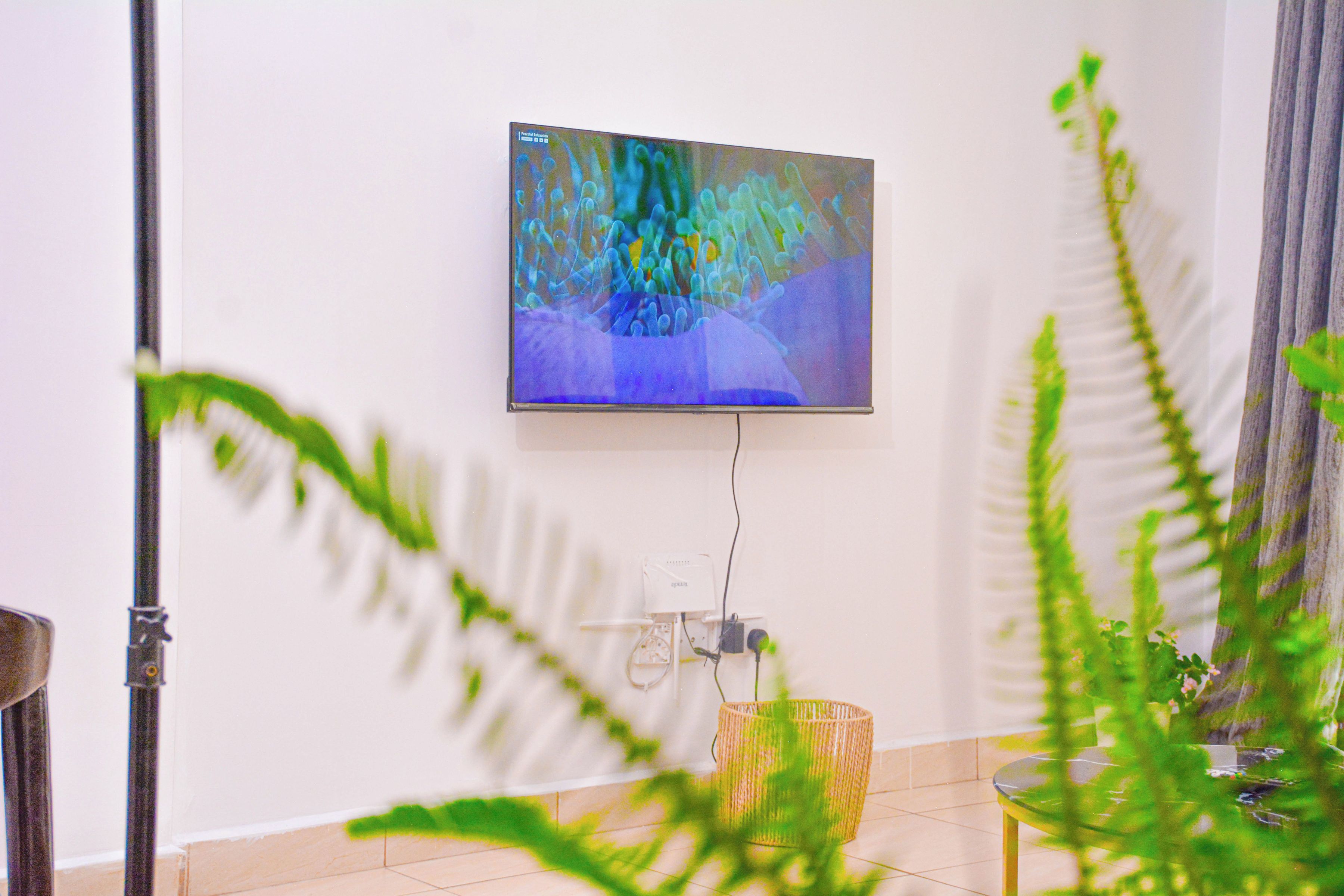 A flat-screen TV mounted on a white wall, a power outlet, and a plant in a woven basket.
