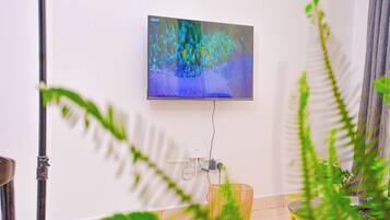 A flat-screen TV mounted on a white wall, a power outlet, and a plant in a woven basket.