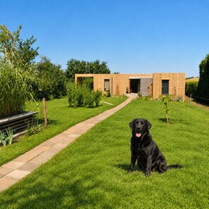 A black dog sitting on a grassy lawn in front of a modern wooden building with a paved pathway leading to the entrance.