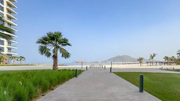 Un sentiero che conduce a una spiaggia con palme e cielo sereno.