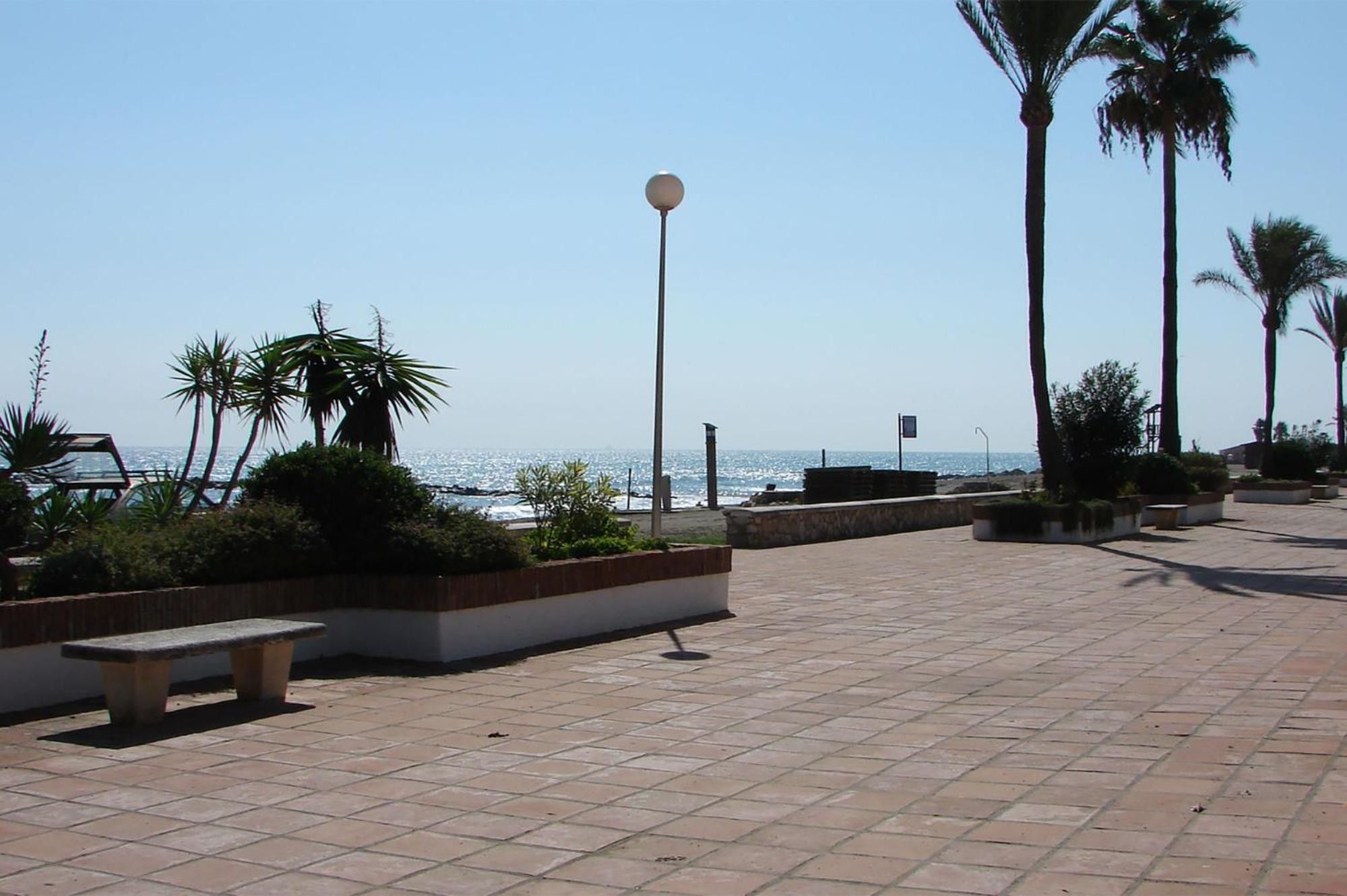 A paved walkway with benches, palm trees, and a view of the sea.