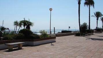 A paved walkway with benches, palm trees, and a view of the sea.