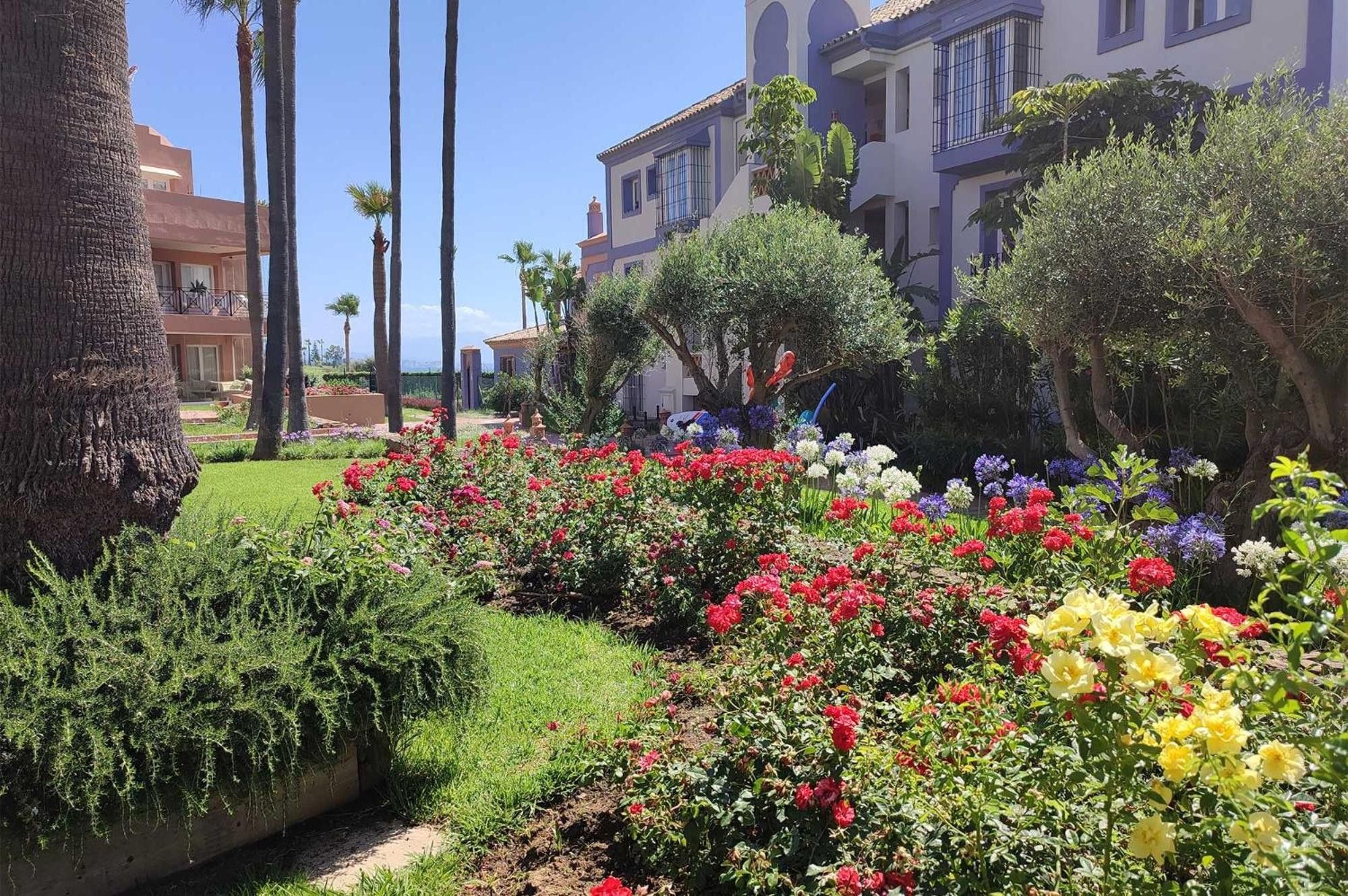 A garden with a variety of flowers and palm trees, with buildings in the background.