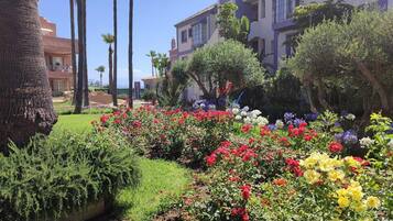 A garden with a variety of flowers and palm trees, with buildings in the background.