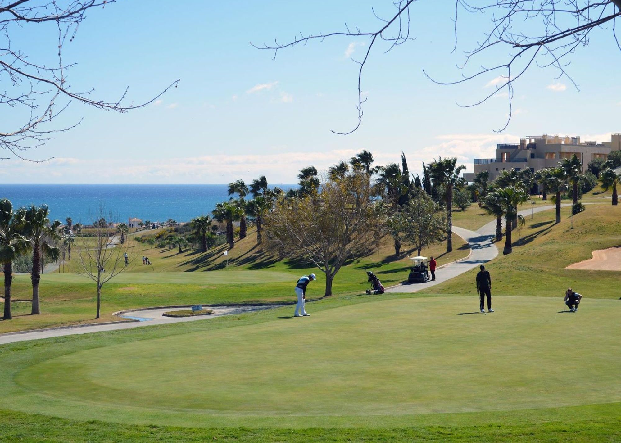 Golf