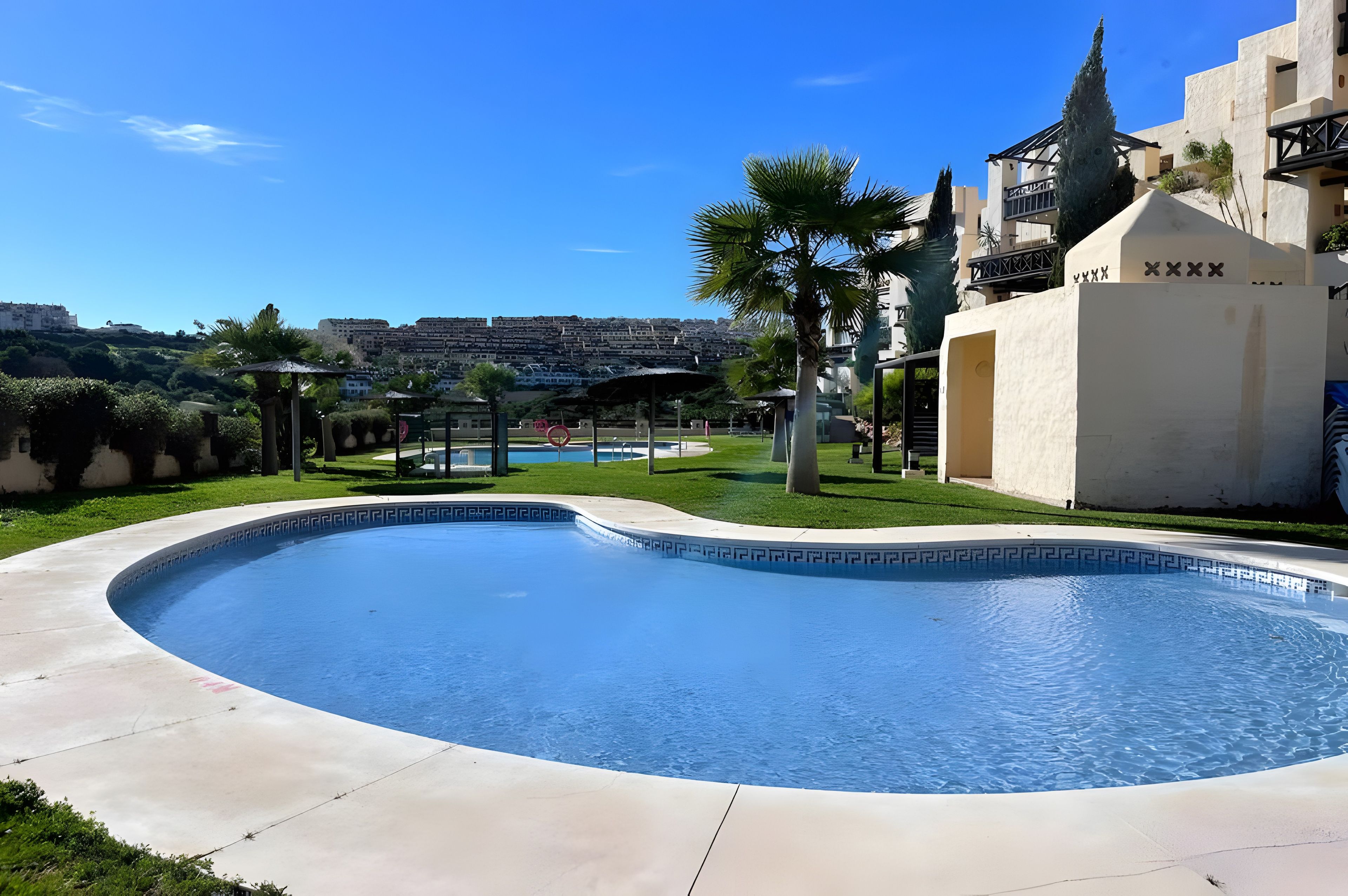 Une piscine avec un bassin aux eaux d’un bleu limpide, entourée d’une pelouse bien entretenue et de quelques palmiers.