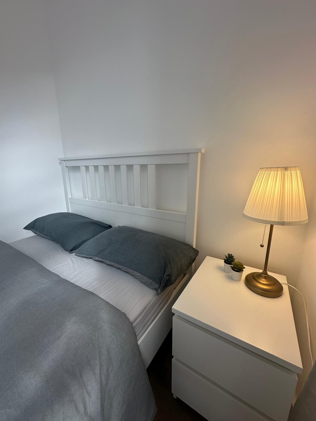 A single bed with a white headboard, two pillows, a bedside table with a lamp, and a small plant.