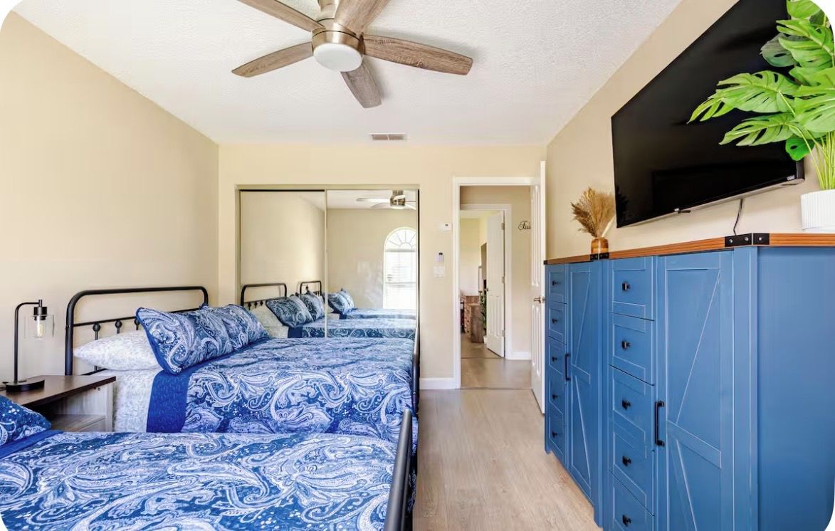 A bedroom with a bed, a ceiling fan, a TV, and a plant.