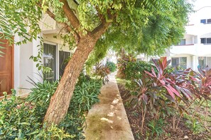 Un sendero bordeado por plantas diversas y un árbol, que conduce a un edificio de fachada blanca y grandes ventanales.