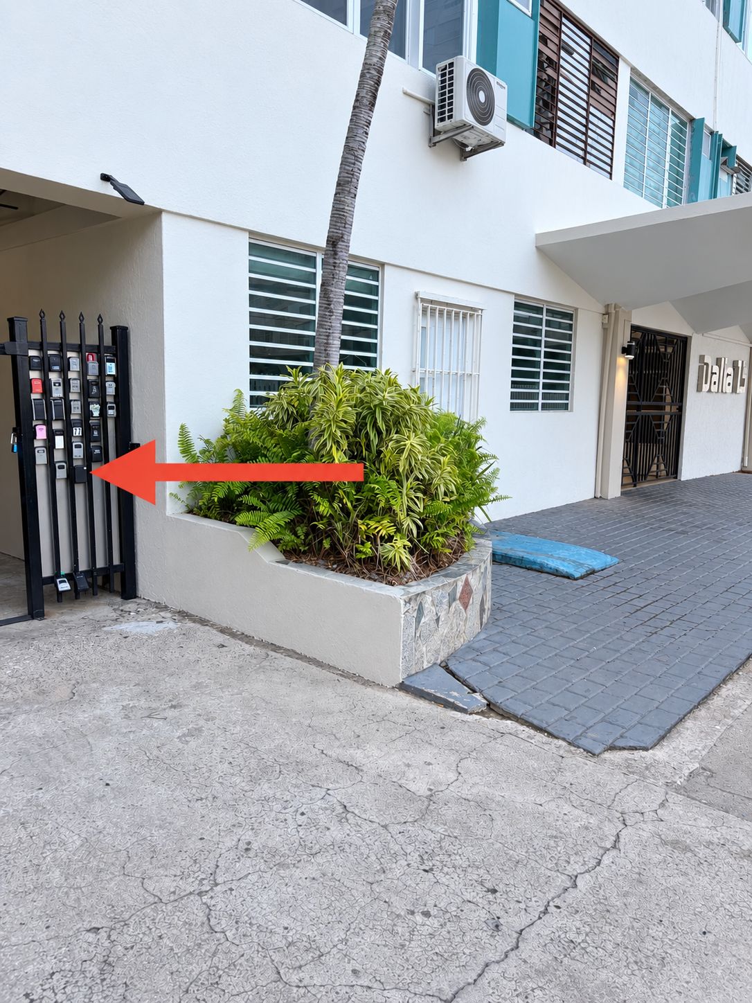 A building with a gated entrance, a small garden with a palm tree, and a paved area with a blue mat.