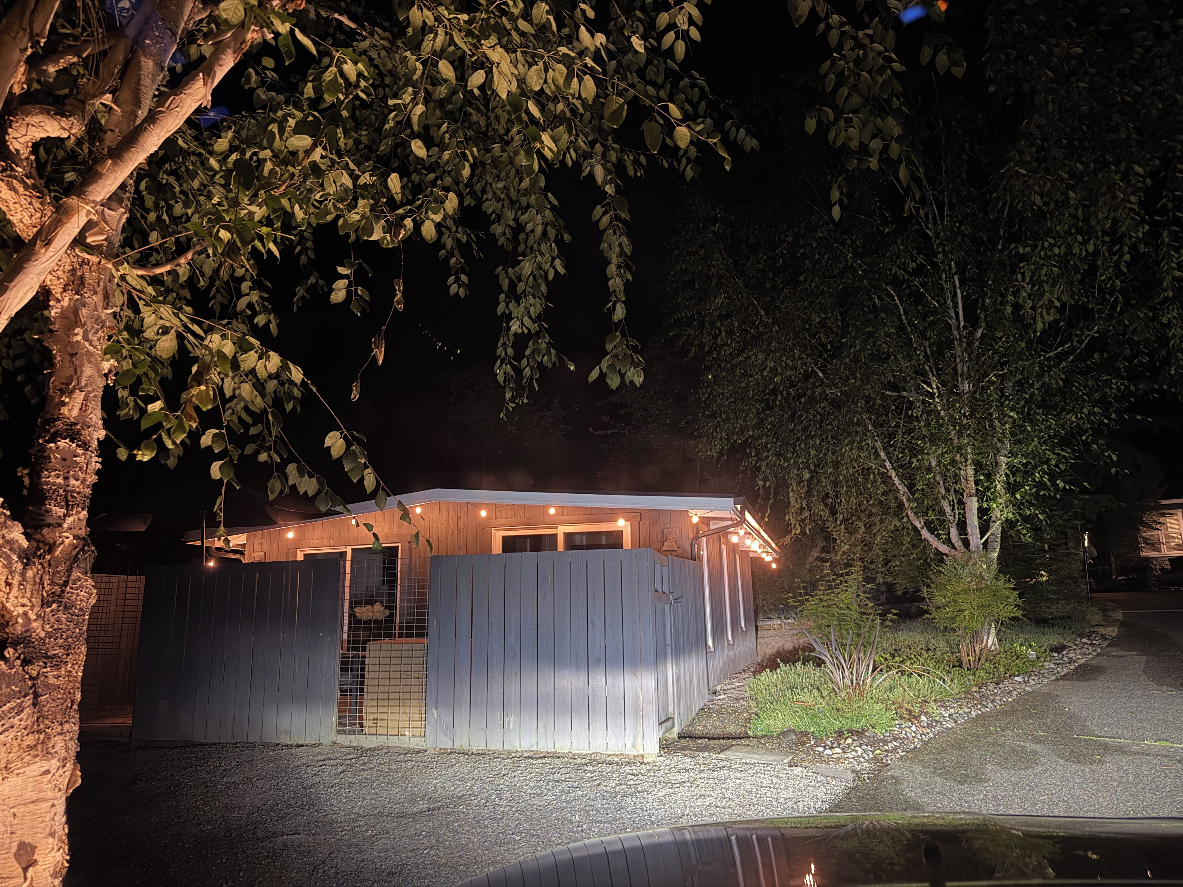 A wooden cabin with a porch, surrounded by trees and a gravel path.