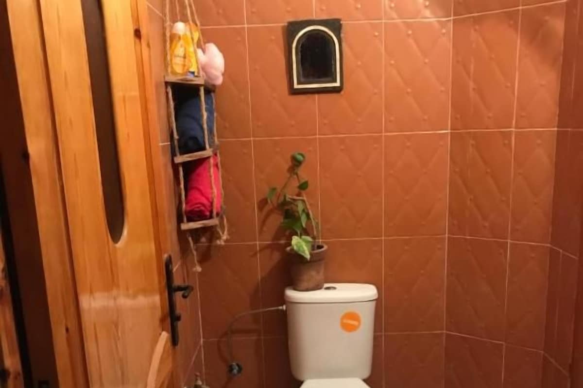 A bathroom with a toilet, a small shelf with towels, a potted plant, and a wooden door.
