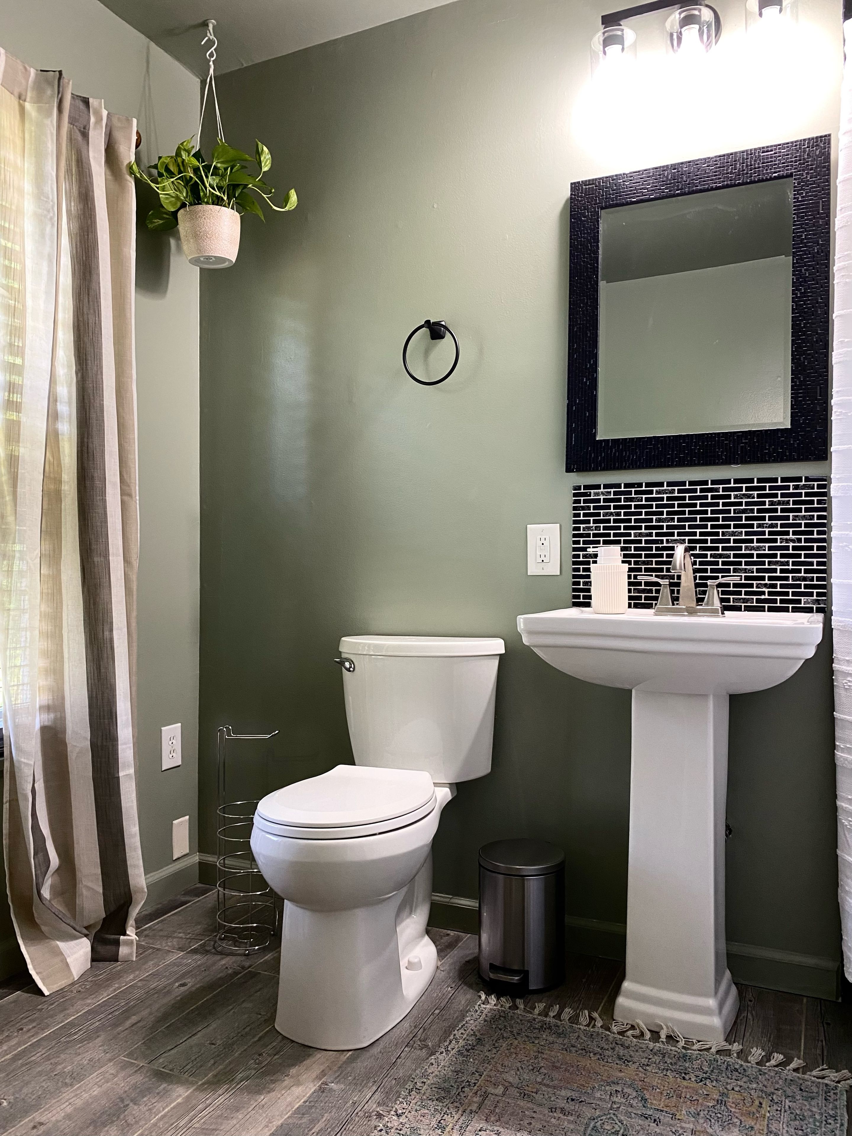 Un baño con inodoro, lavabo y planta colgante.