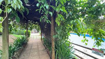 A covered walkway with a tiled floor, surrounded by lush greenery and a blue pool in the background.