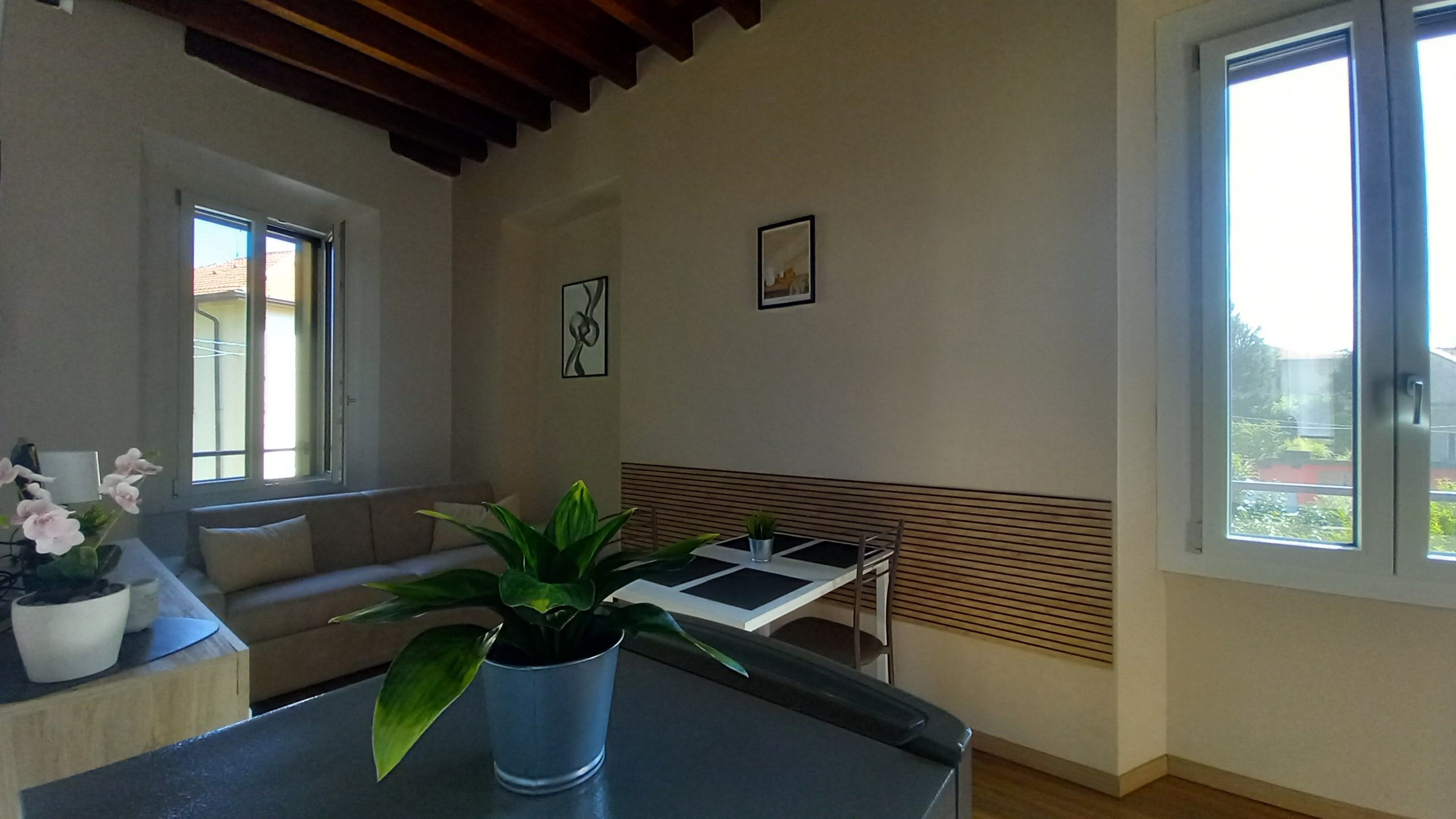 Una sala de estar moderna con un sofá, una mesa de centro, una planta en maceta y un comedor con mesa y sillas.