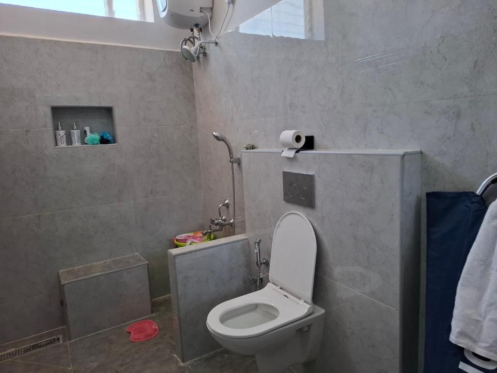 Un baño con inodoro, ducha y un estante pequeño con artículos de aseo.