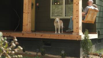 A wooden cabin with a porch, a dog, and a person sitting on a swing.