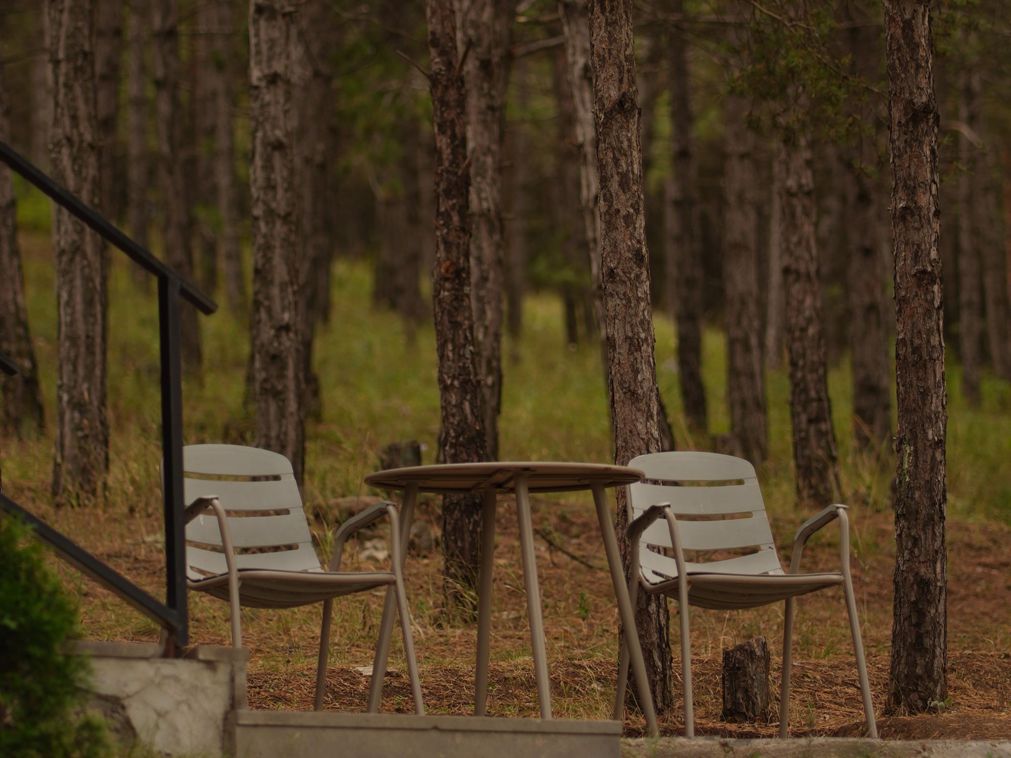 A secluded outdoor seating area with two metal chairs and a small round table, surrounded by tall trees.