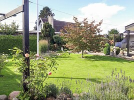 A well-maintained garden with a lawn, a variety of shrubs, and a tree with autumn-colored leaves.