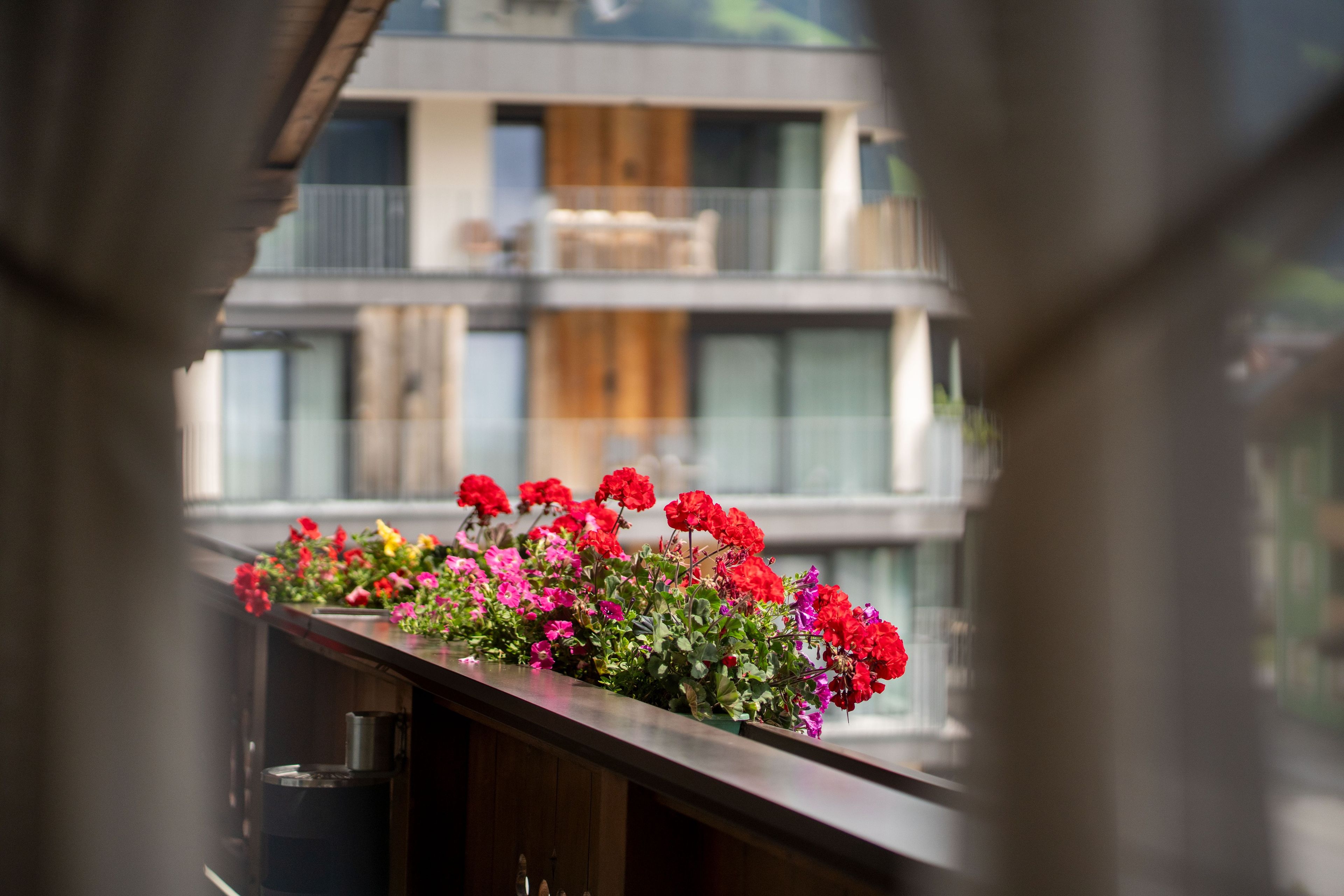 Een balkon met bloemen en uitzicht op een modern gebouw.