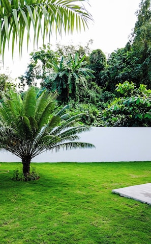 Un césped bien cuidado con una palmera y una pared blanca al fondo.