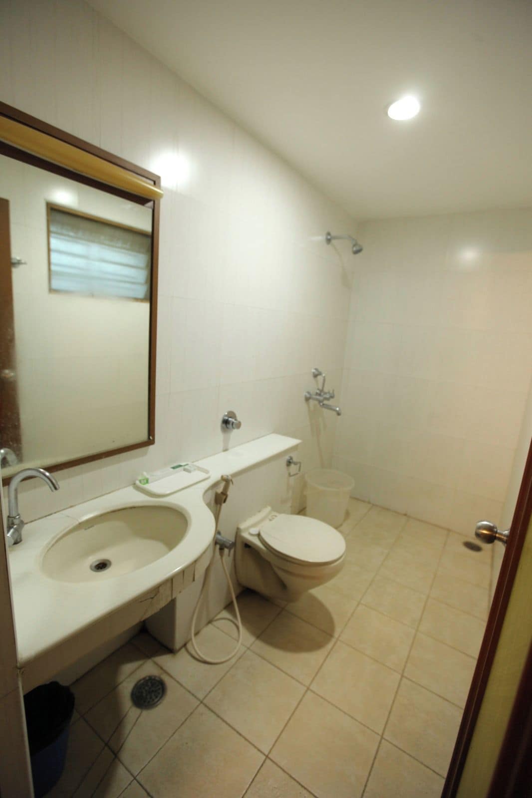 Une salle de bain avec un lavabo, des toilettes et une douche.