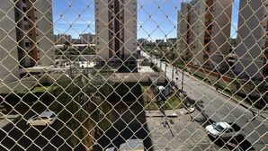 Imagen sin descripción, 3 de 24, botón