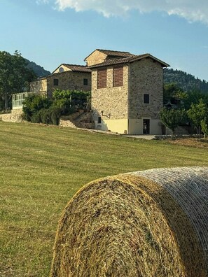 Un bâtiment en pierre doté d’un toit en pente, entouré d’un champ herbeux et d’arbres.