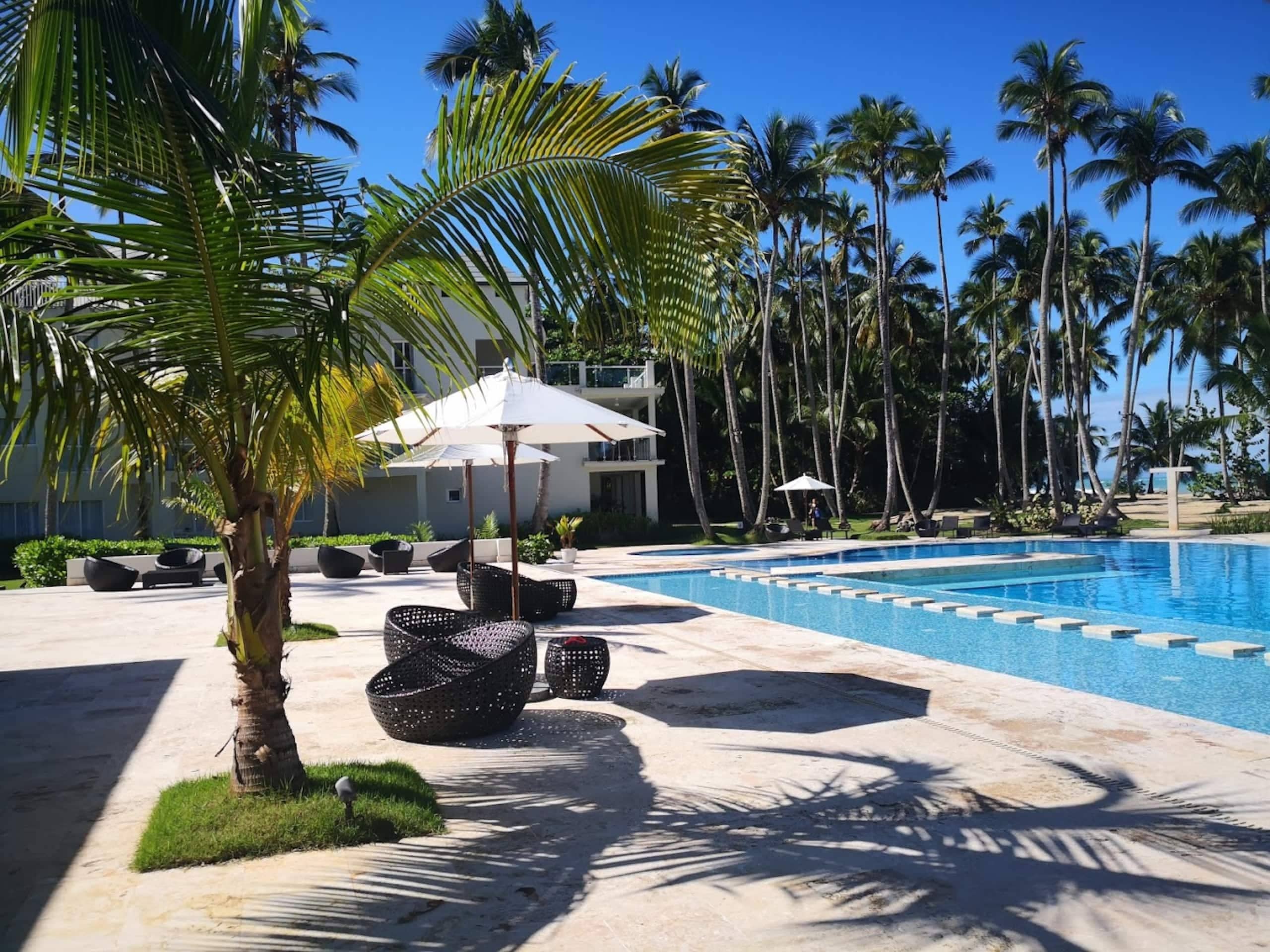 A pool area with lounge chairs, umbrellas, and palm trees.