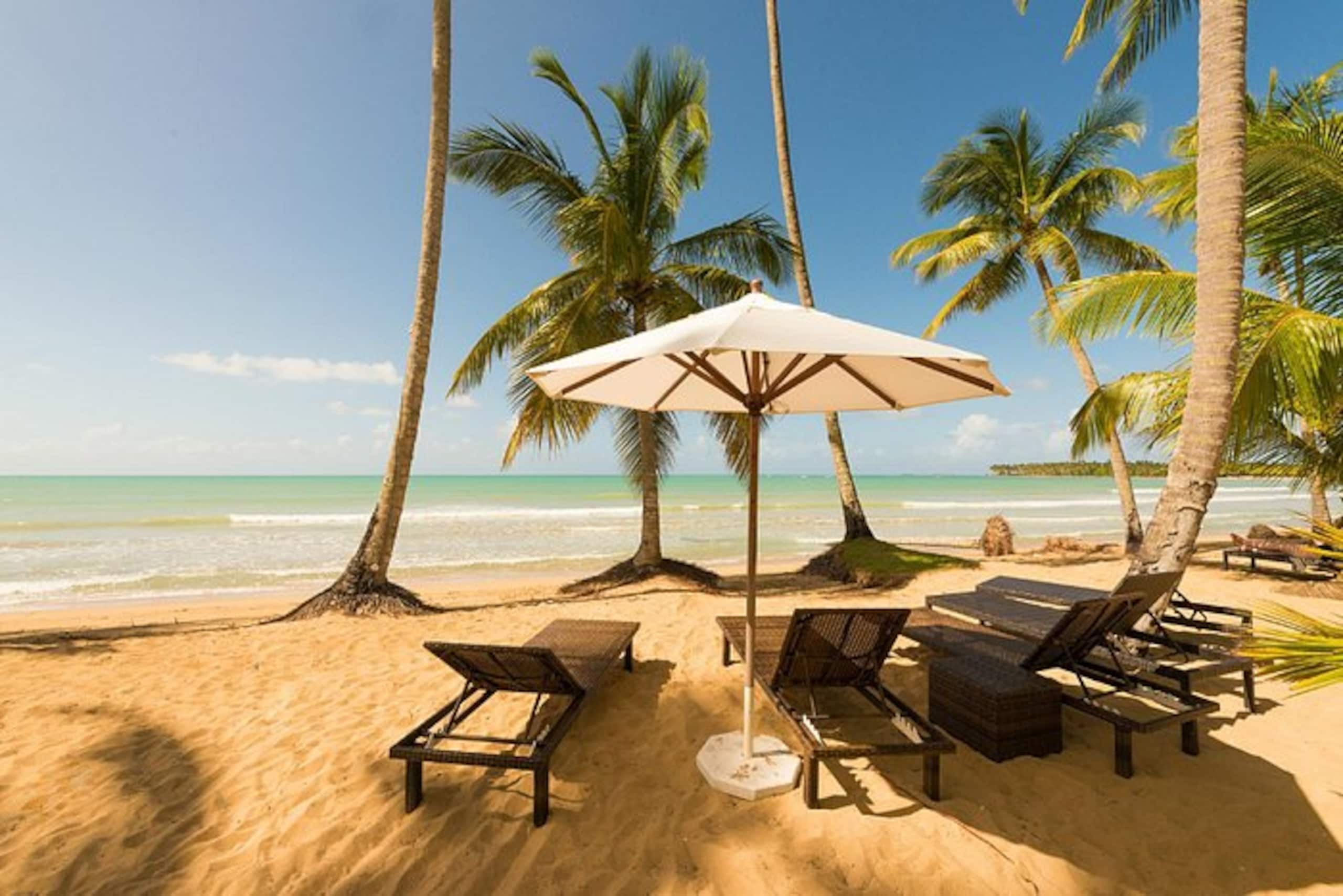 A beach with lounge chairs and a large umbrella, palm trees, and a clear view of the ocean.