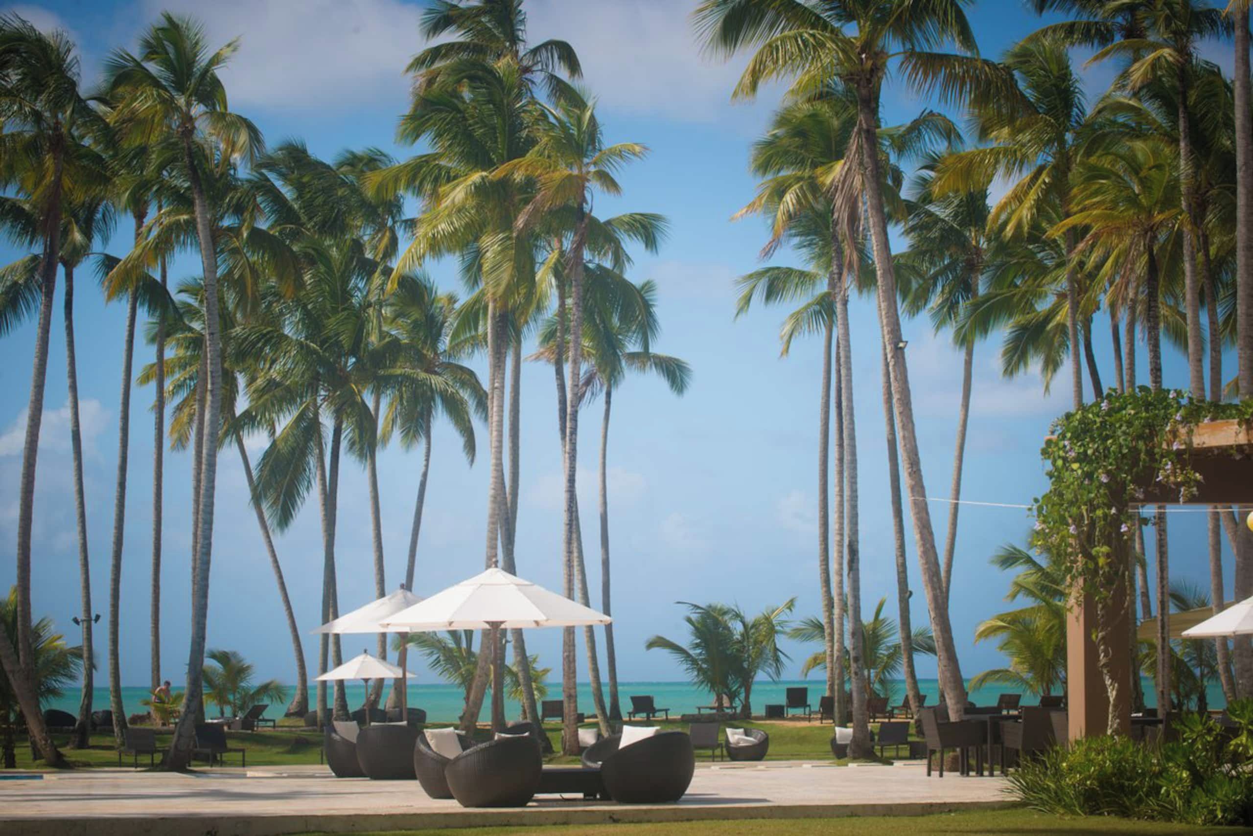 A resort with palm trees, outdoor seating, and a view of the ocean.