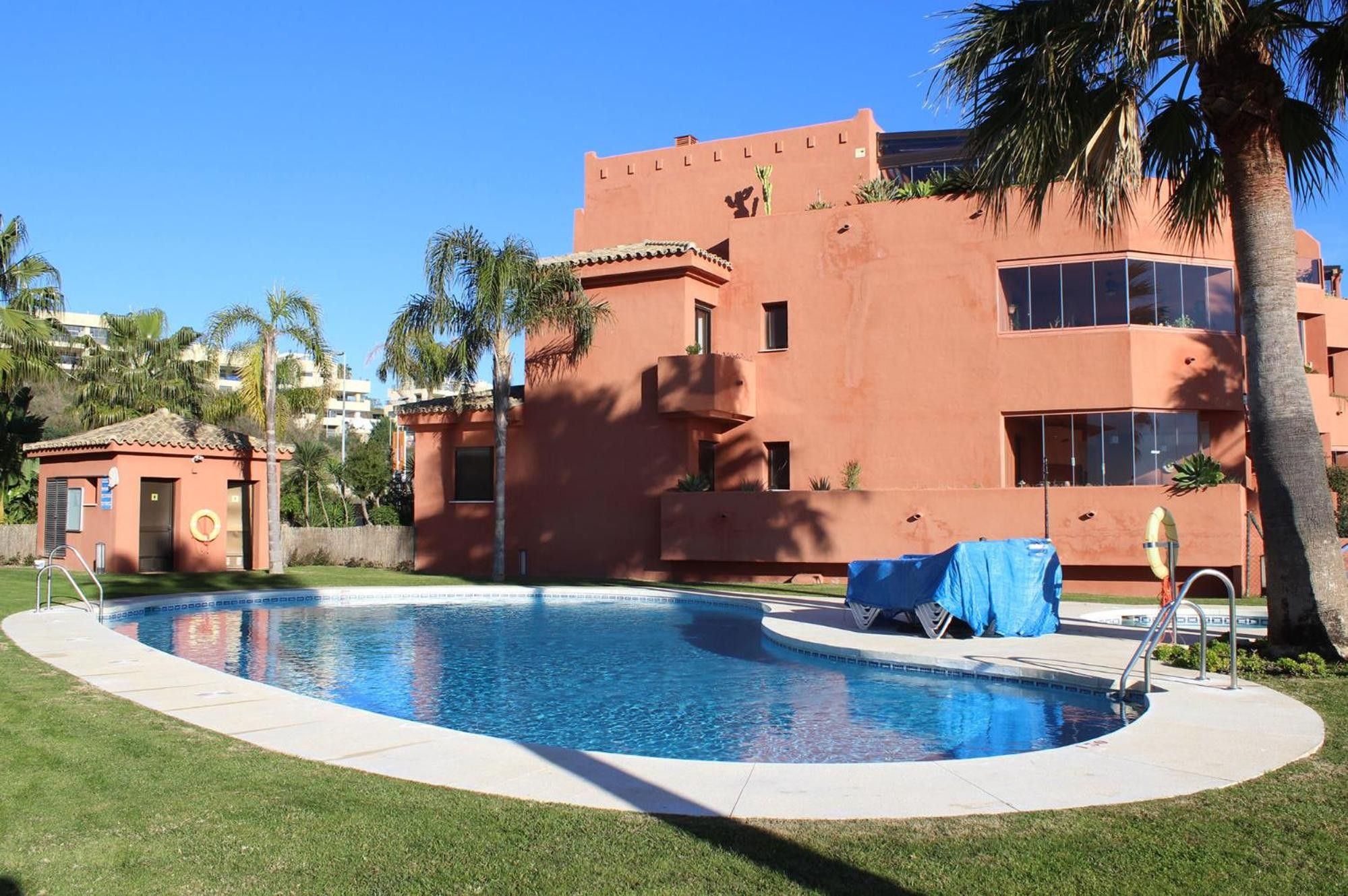 Une piscine à l’eau d’un bleu cristallin, entourée d’une pelouse bien entretenue et de palmiers.