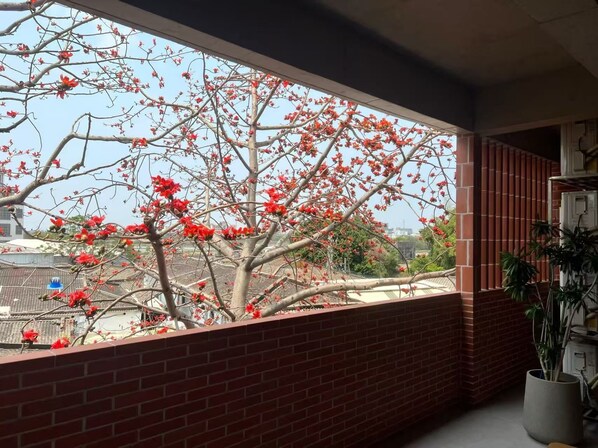 A room with a view of a tree with red flowers through a window. - Yu Stay (Shantou)