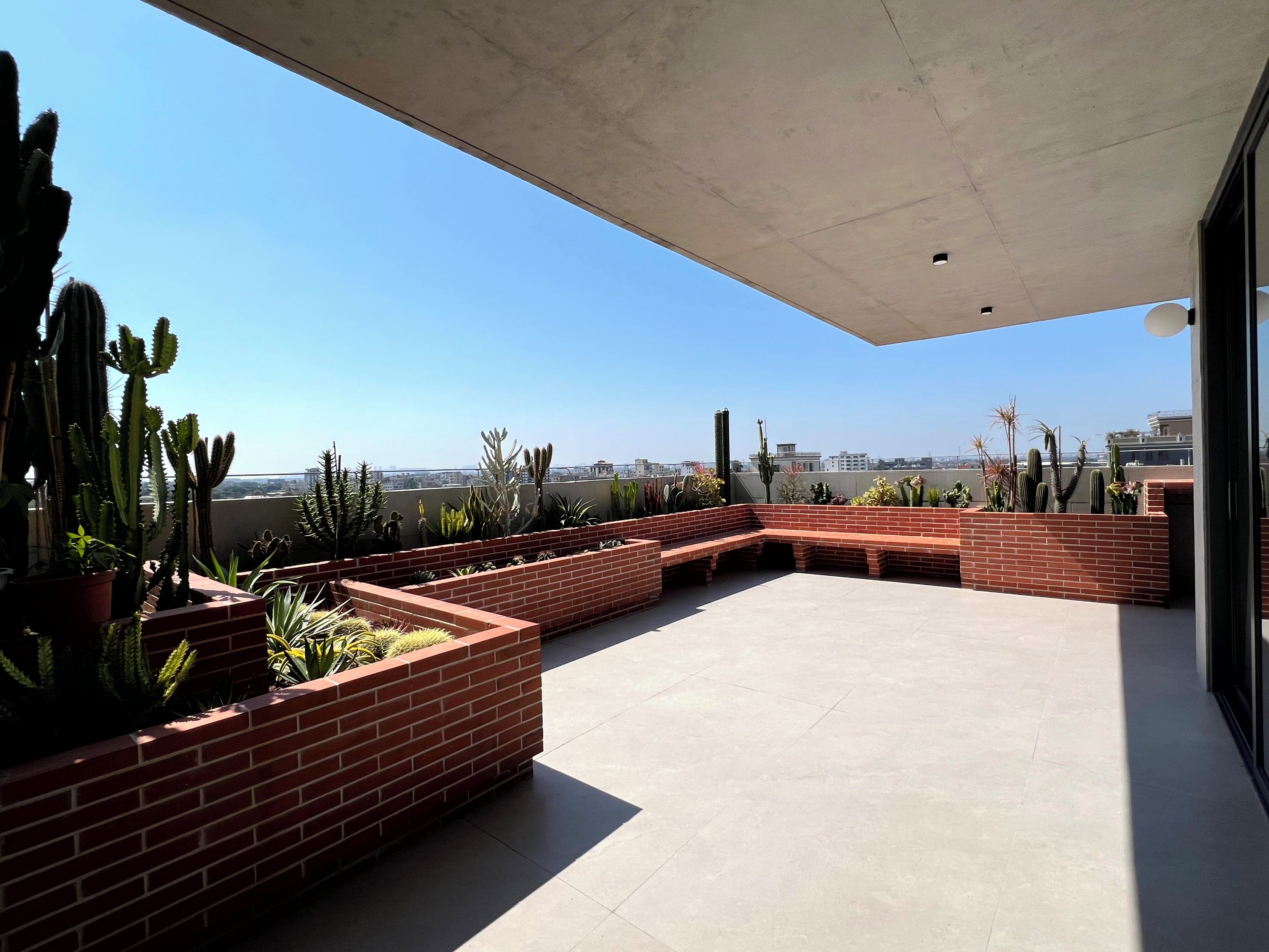 A rooftop terrace with a brick planter, cacti, and a clear view of the cityscape.