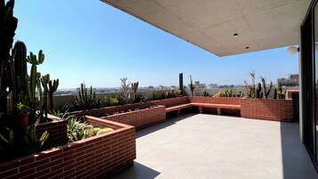 A rooftop terrace with a brick planter, cacti, and a clear view of the cityscape.