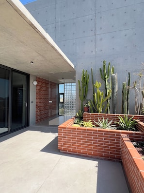 Un bâtiment moderne avec une façade en béton, une entrée avec une porte en verre et un jardin en briques contenant des cactus.