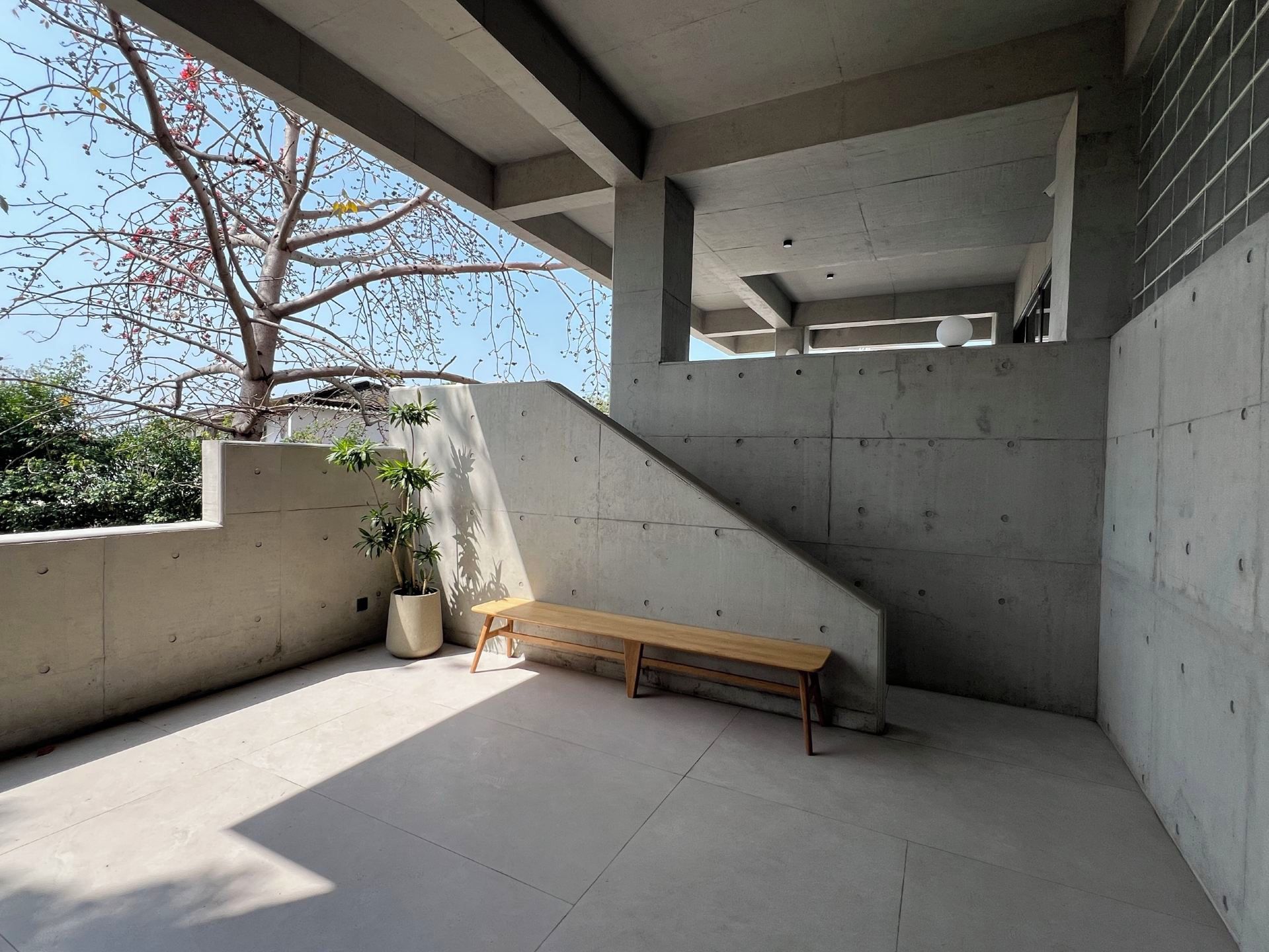 Un espacio interior de concreto con una banca, una planta en maceta y una escalera.
