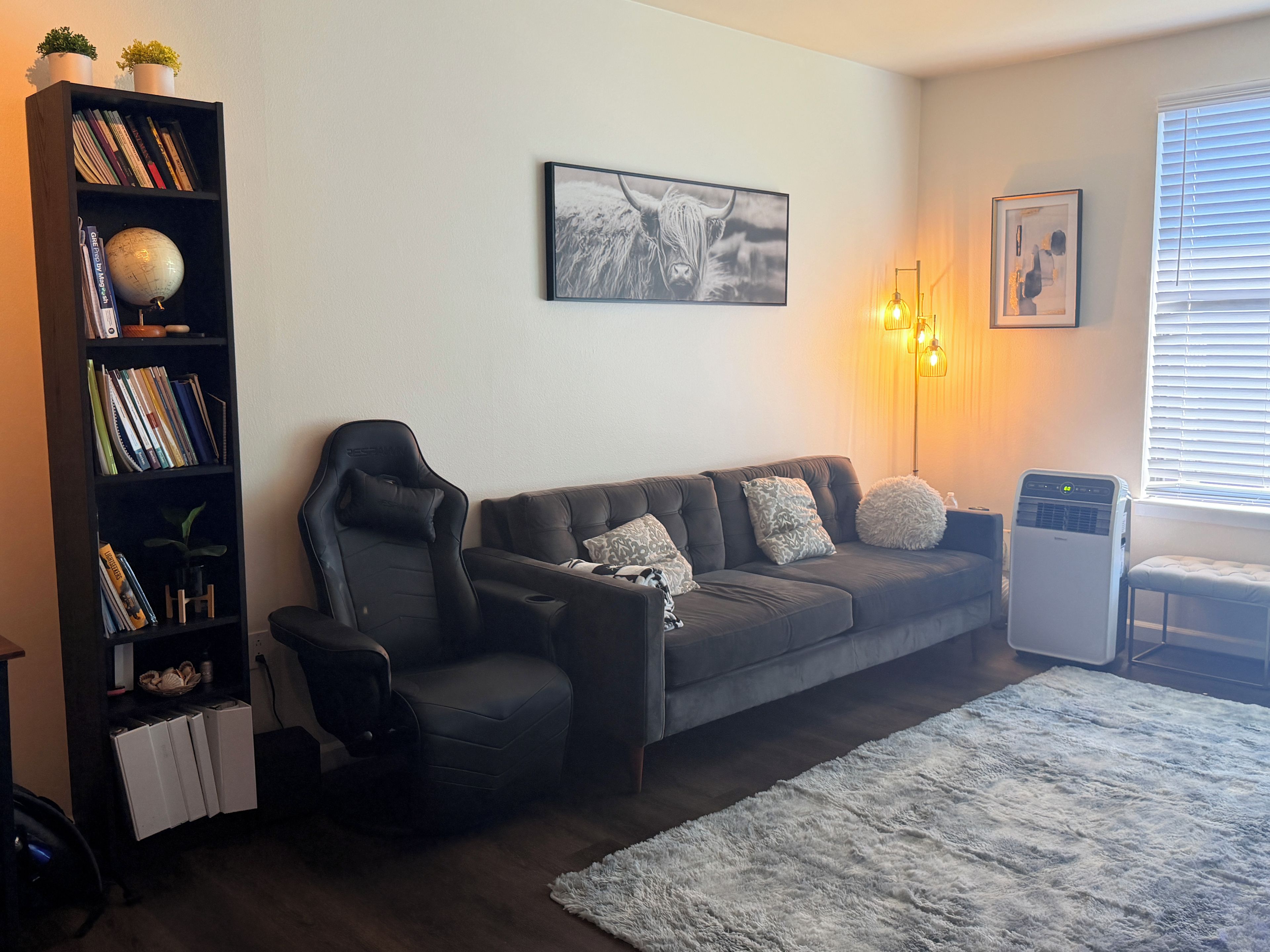 A living room with a dark leather sofa, a black gaming chair, a bookshelf, and a large globe.