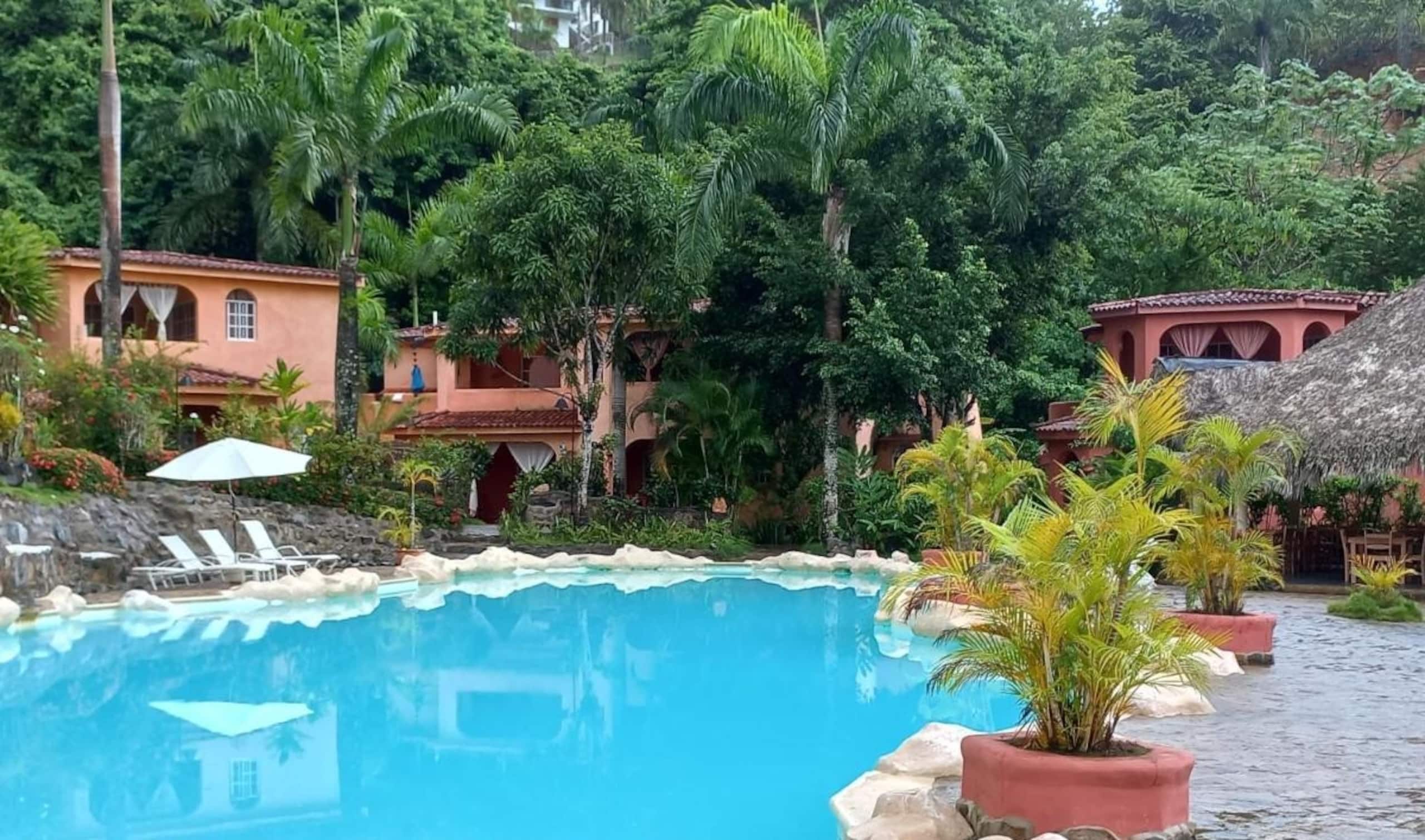 Una piscina rodeada de exuberante vegetación y edificios con tejados rojos.
