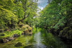 Un río rodeado de densa vegetación verde y terreno rocoso.