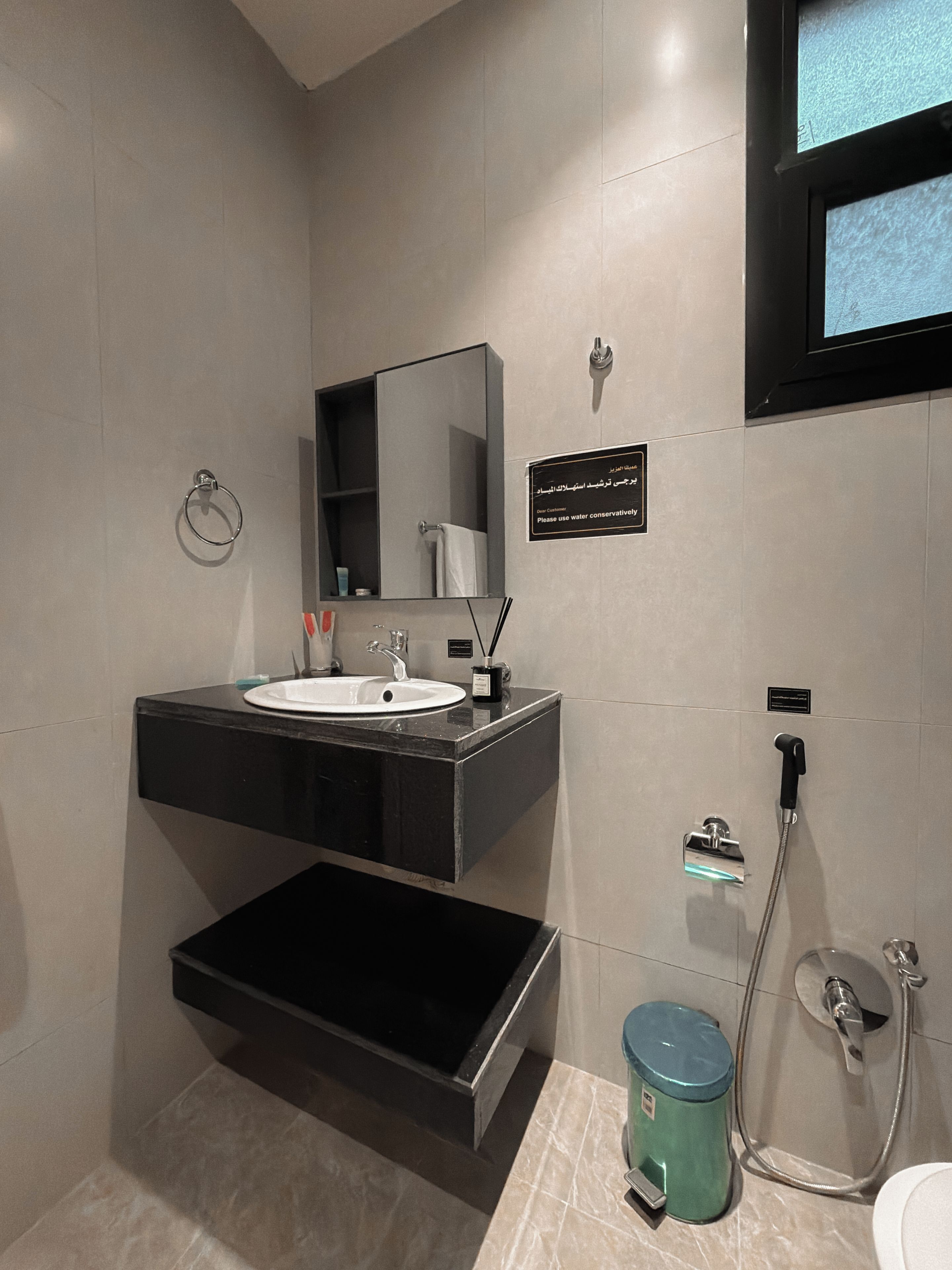 A modern bathroom with a sink, mirror, and a shower area.