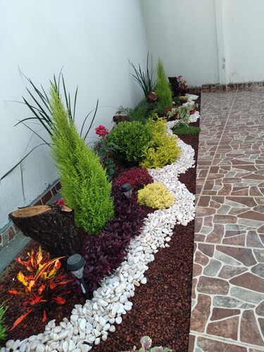 Encantadora casa-habitacion