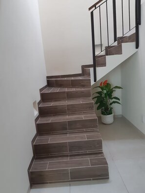 Una escalera de diseño moderno, con barandilla y una planta en maceta al pie.