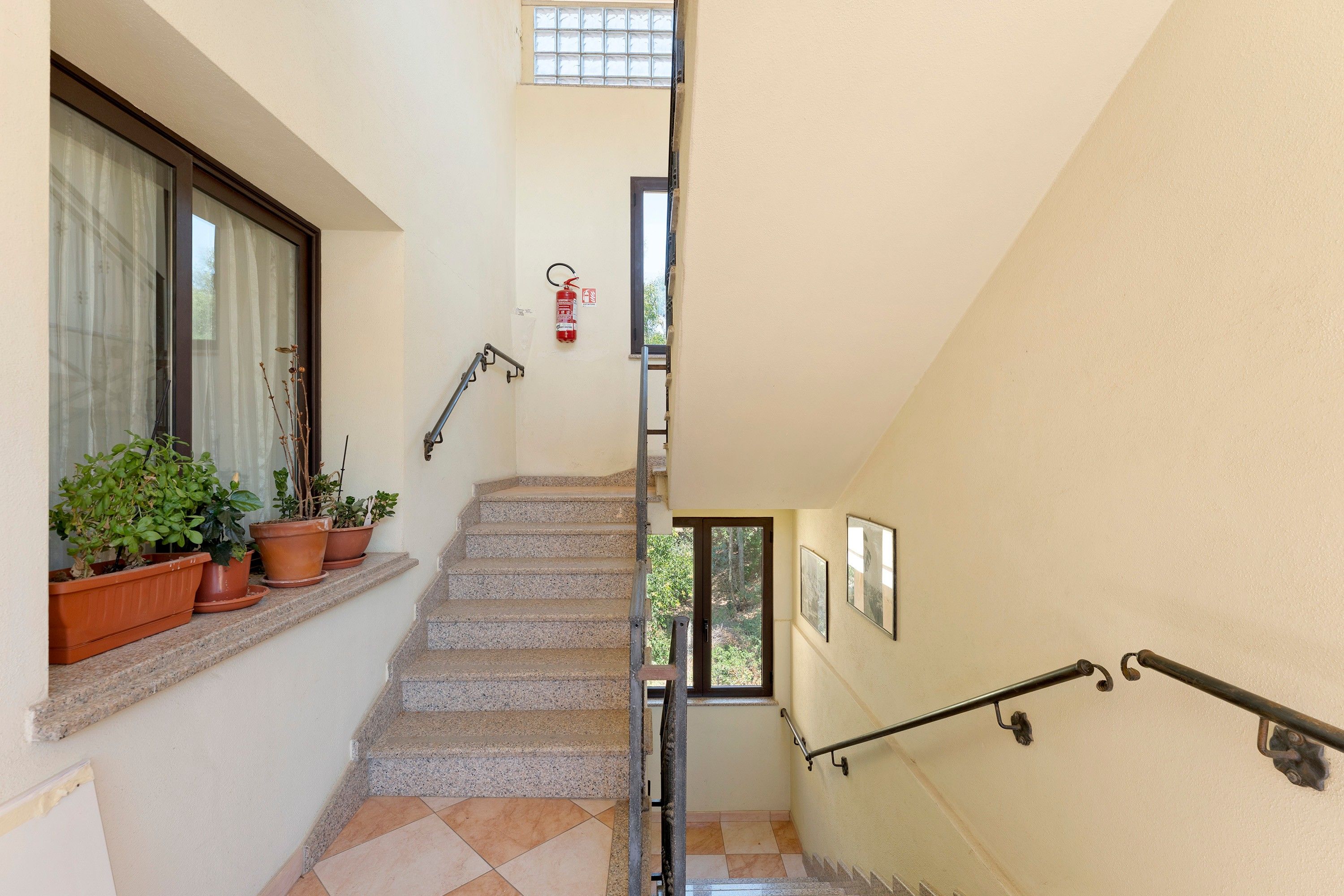 A staircase with potted plants, a fire extinguisher, and a window.