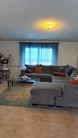 A living room with a sofa, a coffee table, and a rug.