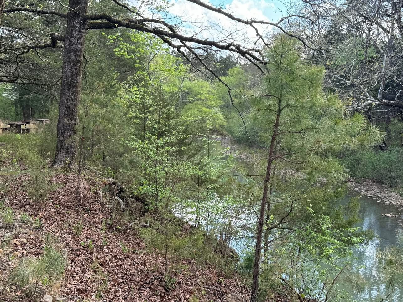 A forested area with a river, trees, and a wooden structure.