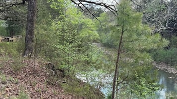 A forested area with a river, trees, and a wooden structure.