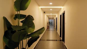 Un pasillo de hotel con una planta a la izquierda, otra en maceta a la derecha y una puerta al final.