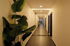 Ảnh chưa phân loại, 2 trong số 12 ảnh, nút
